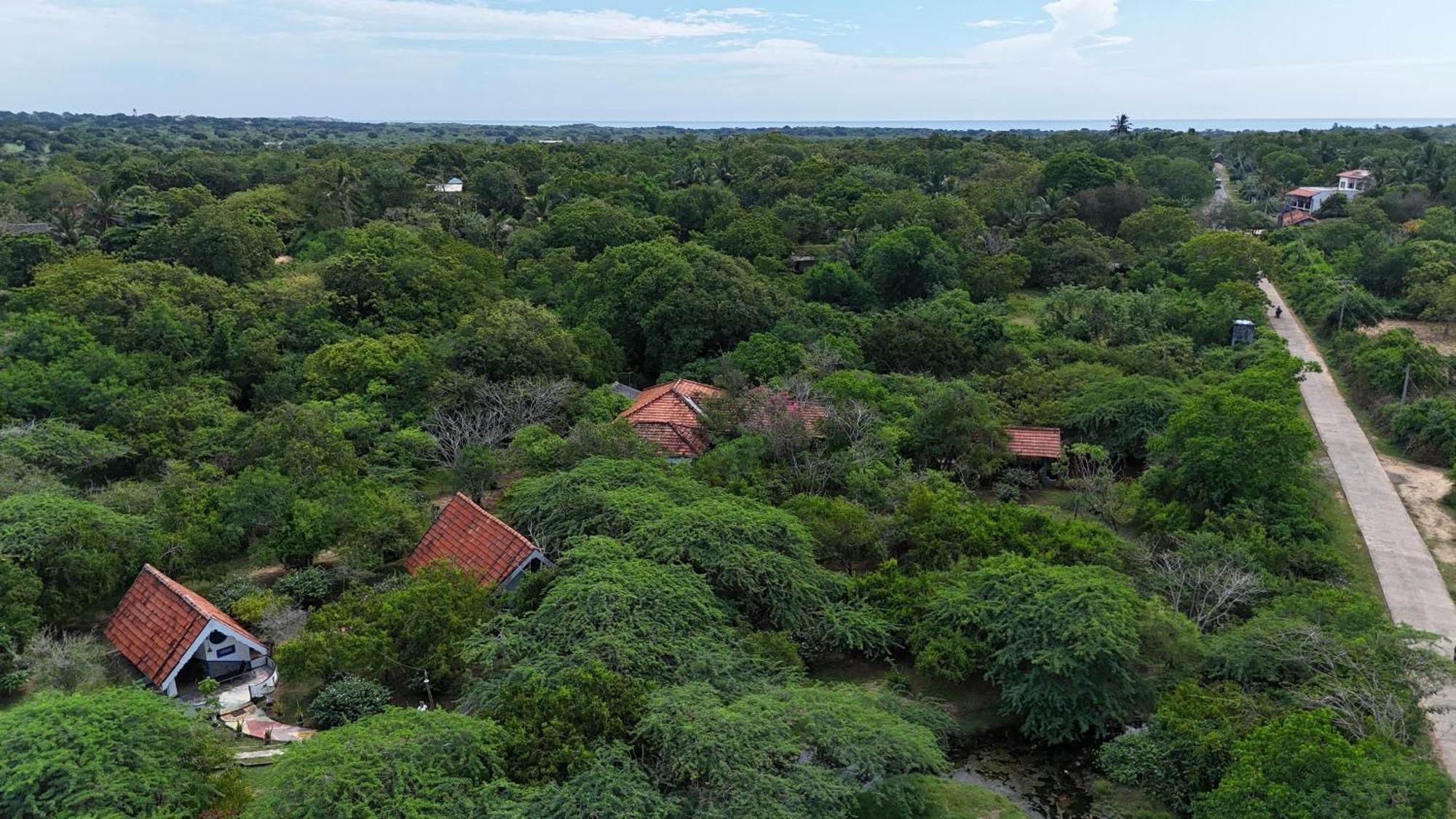 Suduweli Beauties Of Nature - Yala Kirinda  Exterior foto
