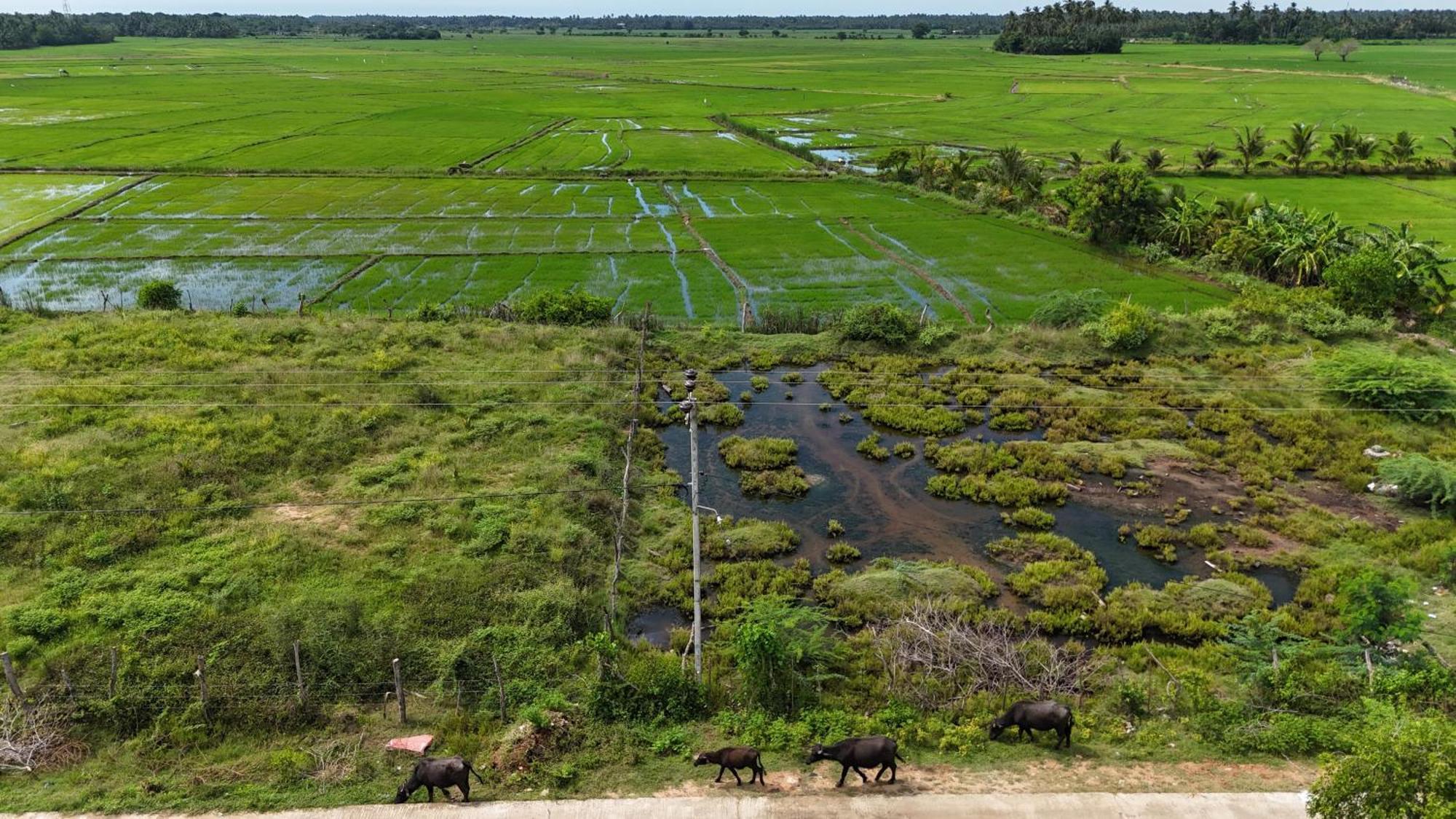 Suduweli Beauties Of Nature - Yala Kirinda  Exterior foto